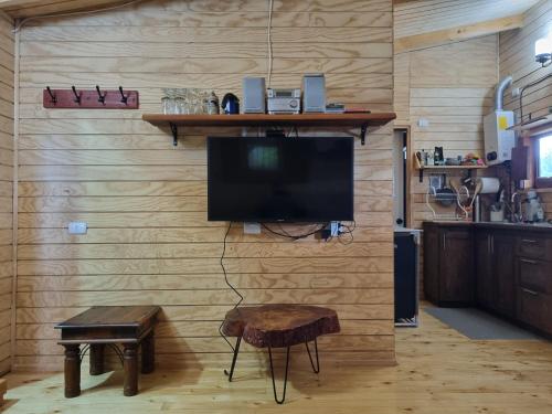 a living room with a television on a wall at Cabaña en Panguipulli, lugar tranquilo in Panguipulli