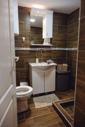 a bathroom with a toilet and a sink at Lazarica in Divoš