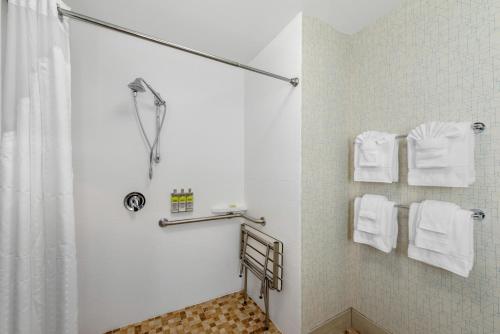 Et badeværelse på Holiday Inn Express & Suites Alachua - Gainesville Area by IHG