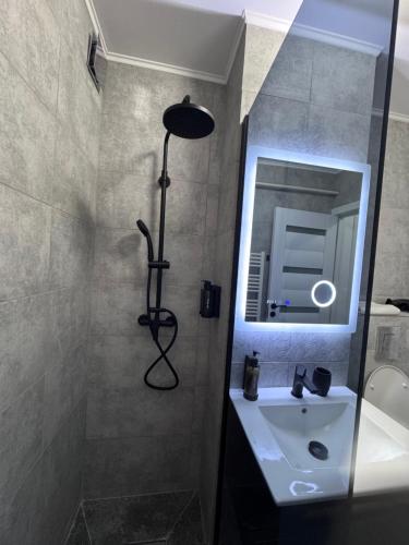 a bathroom with a shower and a sink and a mirror at Grey Serenity in Brăila