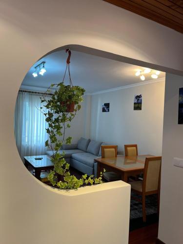 Casa Do Arco - Machico Centre with Private Balconies and Parking