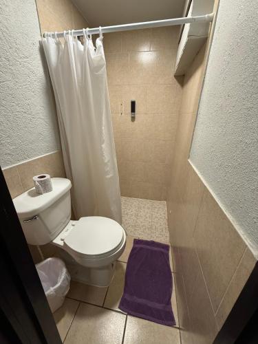 a bathroom with a toilet and a shower with a purple mat at Hotel Ossi Inn in Matamoros