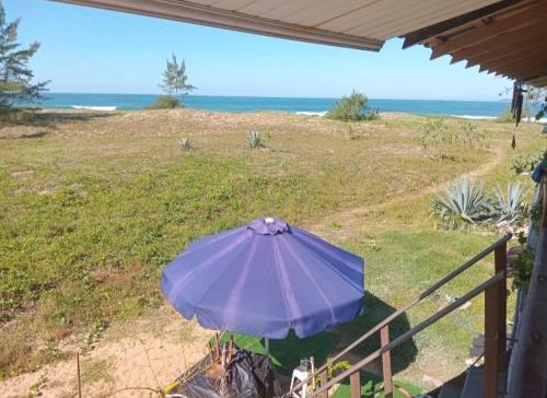 Phong cảnh thiên nhiên gần nhà nghỉ dưỡng