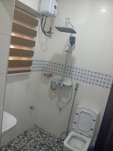 a bathroom with a toilet and a sink at Luxury 3 Bedroom Duplex with Mini Swimming Pool in Enugu