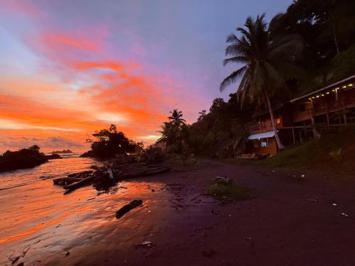 un tramonto su una spiaggia con una casa e delle palme di Altos de la Playa a Bahía Solano