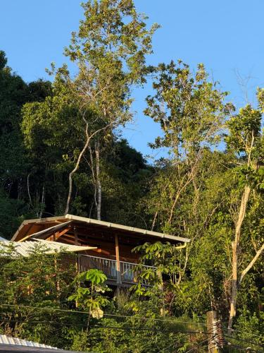 a house in the middle of the forest at Altos de la Playa in Bahía Solano