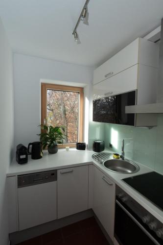 Kerschbuchhof Apartment