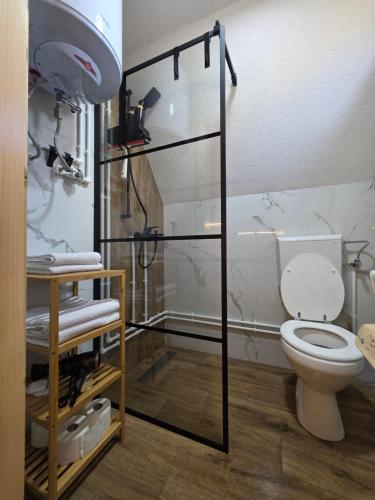 a bathroom with a toilet and a glass shower stall at Mountain Peace in Žabljak