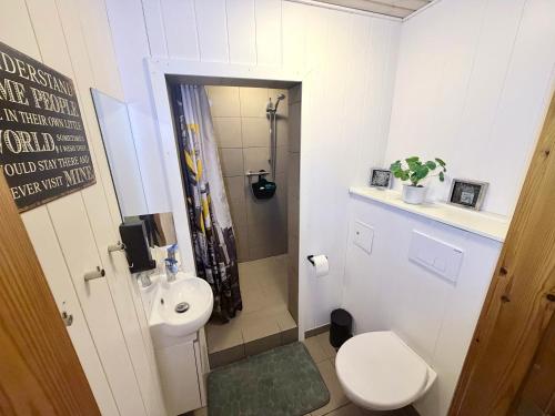a small bathroom with a toilet and a shower at Amtoft Vig Kitespot in Vesløs