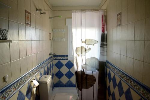 a bathroom with a white toilet and a shower at Casa rural en Granada in Atarfe