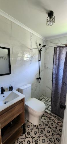 un bagno con un water bianco e un lavandino di Cabañas Puelche a Liquiñe