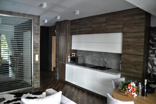 Kuchyň nebo kuchyňský kout v ubytování Apartament Silver - Stara Polana Spa