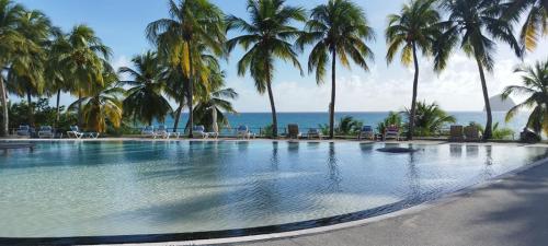 Bazén v ubytování Ti Dyaman - Studio vue mer & accès piscine gratuit nebo v jeho okolí