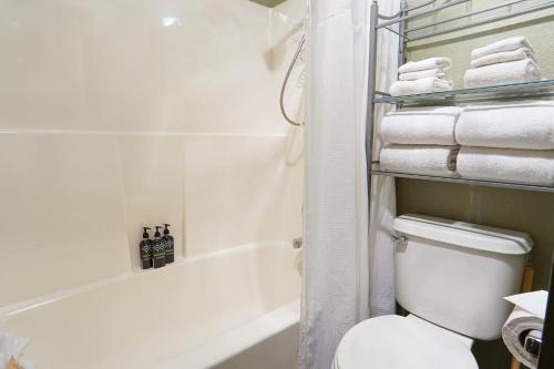 Koupelna v ubytování Shuksan Suite