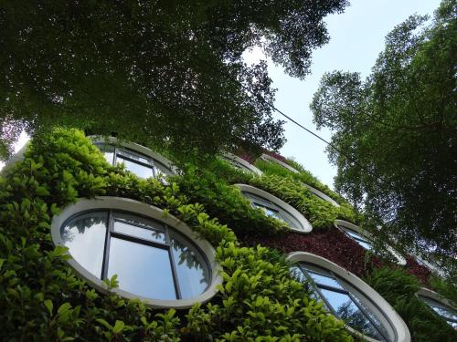 a window that has a bunch of plants in it at Flora by Crossroads Hotel in Kuala Lumpur