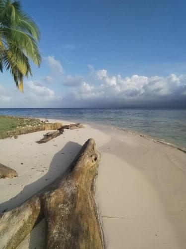 Naturlandskabet i nærheden af lodgen