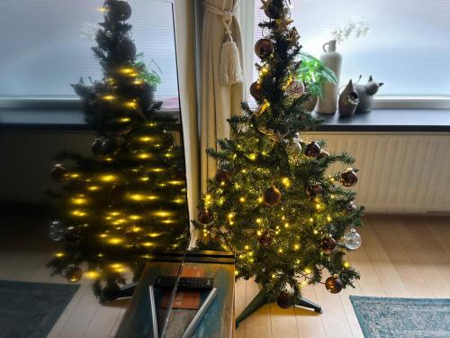 Billede fra billedgalleriet på Stijlvolle benedenwoning Singel i Dordrecht