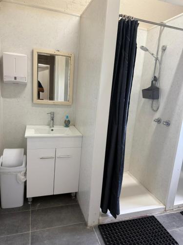 a bathroom with a shower and a sink and a toilet at Jerilderie Hotel - Pub, Restaurant & Accommodation in Jerilderie