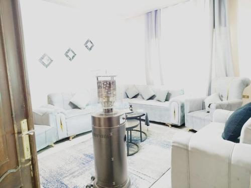 安曼طبربور的客厅里摆放着白色沙发，中间放着一盏灯。