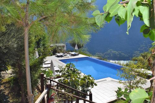 Swimmingpoolen hos eller tæt på Kabak Avalon Bungalows