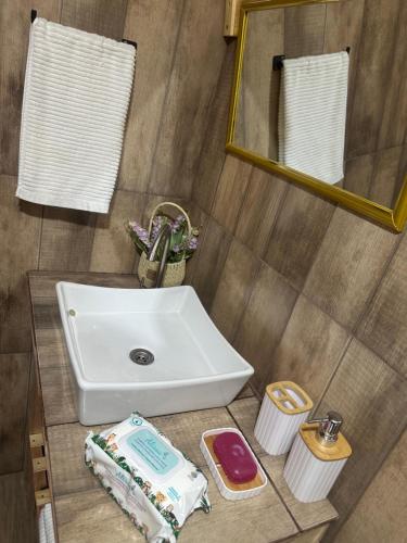 a bathroom with a sink and a mirror at Helena Suites in Villarrica