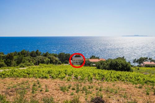 Family friendly seaside apartments Dingac - Borak, Peljesac - 18060