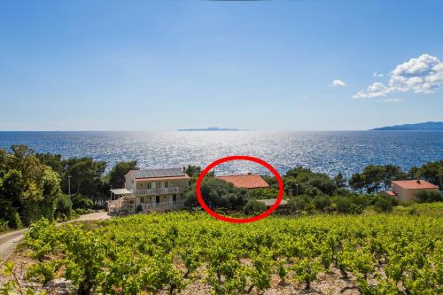 Family friendly seaside apartments Dingac - Borak, Peljesac - 18065