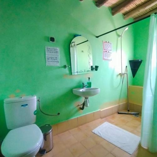 a green bathroom with a toilet and a sink at Kasbah ben Ali in El Kelaa des Mgouna