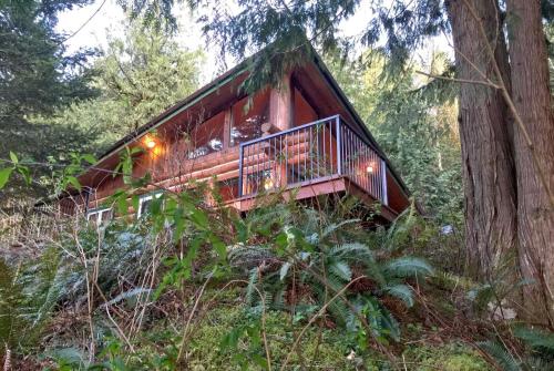 Příroda nedaleko prázdninového domu