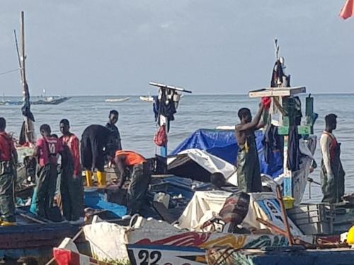 Gæster der bor på Guide local tourismeco saly