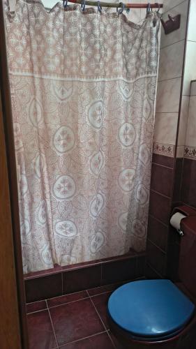 a shower curtain in a bathroom with a blue toilet at ECO ART Best view Machu Picchu in Machu Picchu