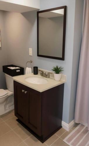 a bathroom with a sink and a mirror and a toilet at Spacious Three Bedroom Parma Home Sleeps six Near Cleveland in Parma