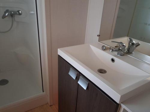 Et badeværelse på Mobil home - Terrasse à Bieuzy - API-1-52-1304