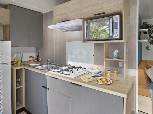 Køkken eller tekøkken på Mobil-home 6 pers. - Terrasse au Camping Saint-Gérons - API-1-52-1317