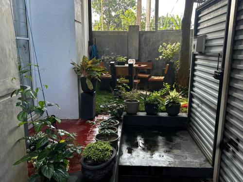 een patio met een hoop potplanten erop bij A&J Rest House 