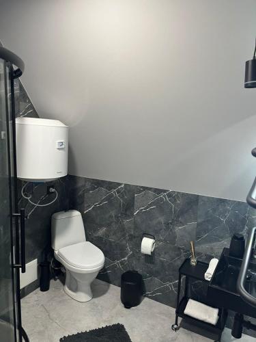 a bathroom with a toilet and a sink at Серце Карпат in Skole