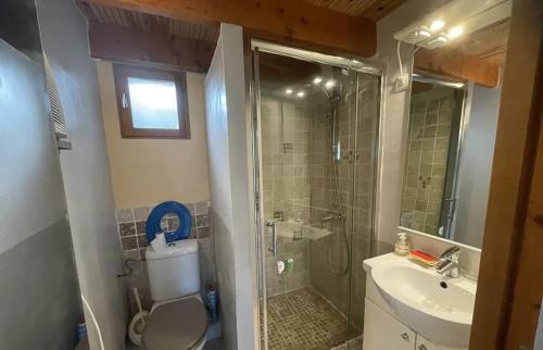 une salle de bains avec douche, toilettes et lavabo dans l'établissement Maison confortable à Velleron de 50 m² avec piscine, à Velleron