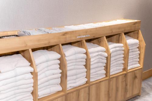 Henn na Hotel Express Osaka Namba Nipponbashi