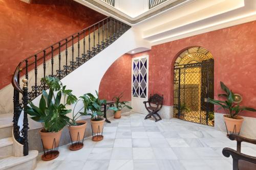 Magno Collection Casa Palacio Museo