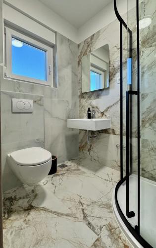 a bathroom with a toilet and a sink and a shower at Vila Gaspar in Dražice