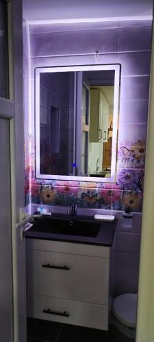 a bathroom with a sink and a mirror at Ranč Sretenović in Mionica