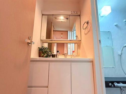 a bathroom with a sink and a mirror at Cozy APT Stay in Center Tokyo -SHIBUYA in Tokyo