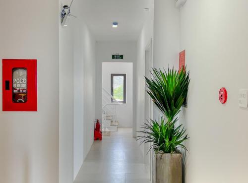 a hallway with two potted plants in a building at Quy Nhon Sea Hotel in Quy Nhon