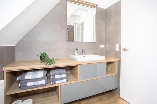 une salle de bains avec un lavabo et un miroir dans l'établissement Klosterhof Aue W 7, à Bad Zwischenahn