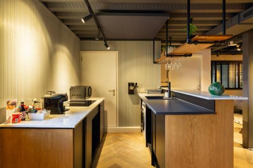 een keuken met een spoelbak en een aanrechtblad bij Hotel Maassluis in Maassluis