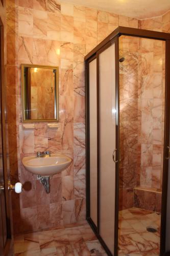 La salle de bains est pourvue d'un lavabo, d'un miroir et d'une douche. dans l'établissement Hotel Camino de Villaseca, à Guanajuato