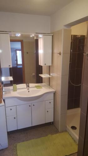 a bathroom with a sink and a shower at Kraska hisa in Komen