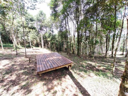 - une table de pique-nique en bois au milieu d'une forêt dans l'établissement Chalé na Serra Campo Alegre, à Campo Alegre