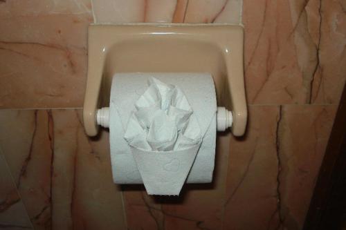 a toilet paper dispenser with a roll of tissue at Hotel Camino de Villaseca in Guanajuato
