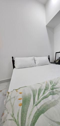 Everest Private Room in 1BHK Apartment